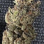 Customer Review Image