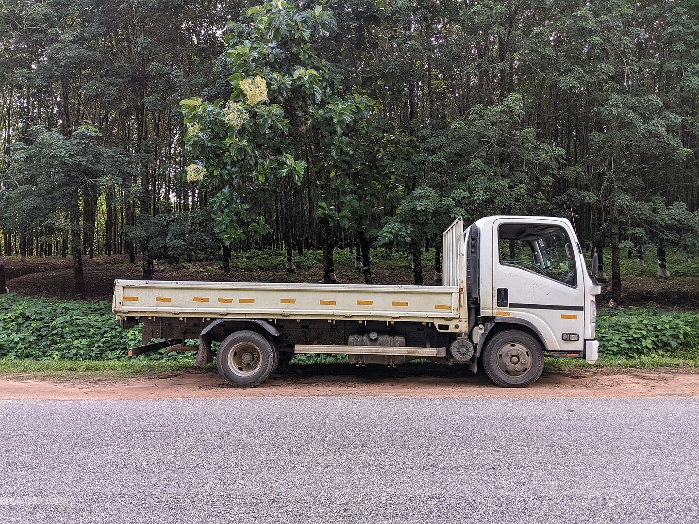 Used 1982 ISUZU ELF TRUCK/N-KAD51 for Sale BF483654 - BE FORWARD