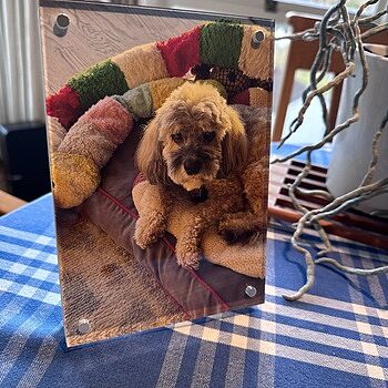 Photo of review by Mary on Mar 14, 2026 #1