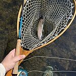 Image of Review by Benson H. on 15 Mar 2026 number 1