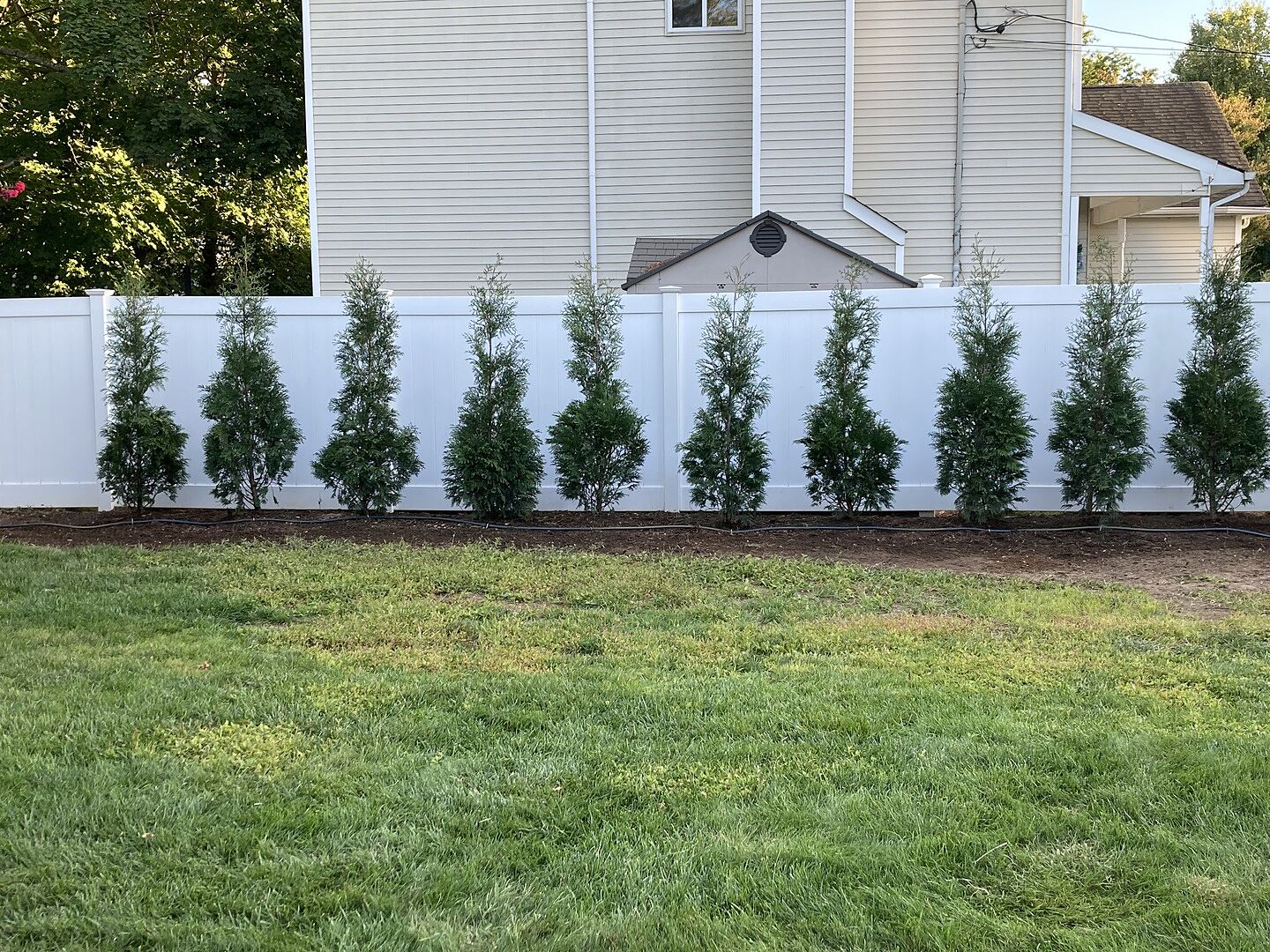 Nice trees, great customer service!