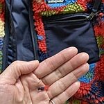 Image of Review by ナマケモノ on 16 Mar 2026 number 1