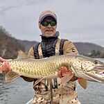 Image of Review by John H. on 17 Mar 2026 number 1