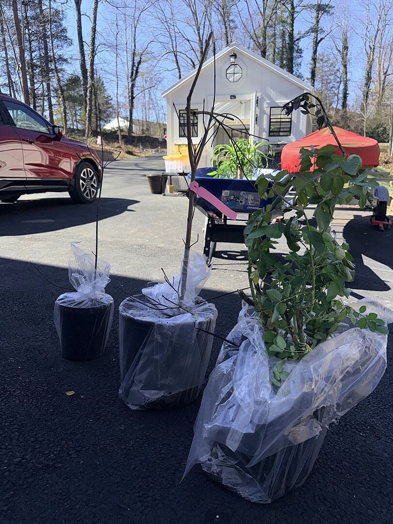 They were all packed and