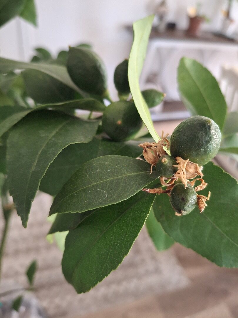 Media from review #3