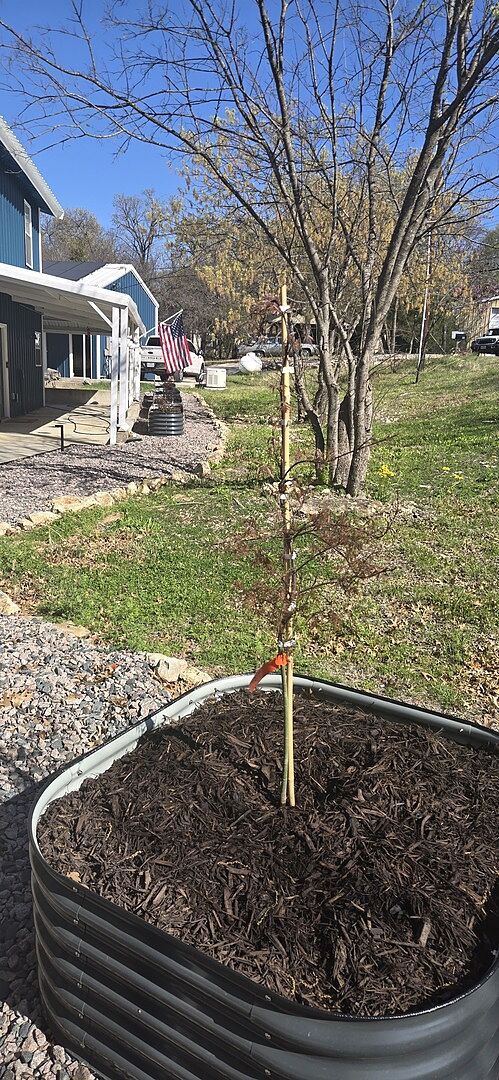 Skeptical about what I was going to receive