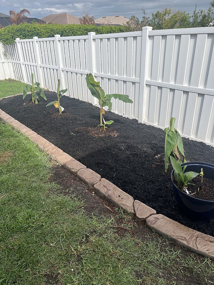 Ordered nam wa bananas, not sure what I got.