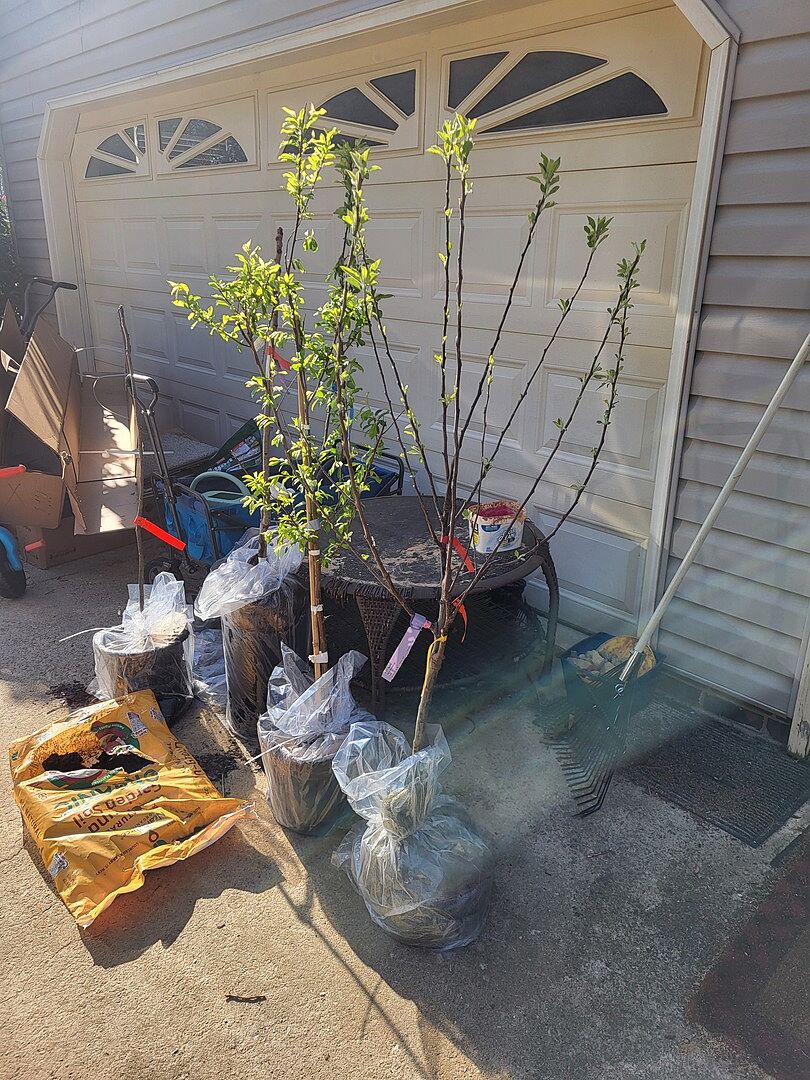 Varieties may not be preferred