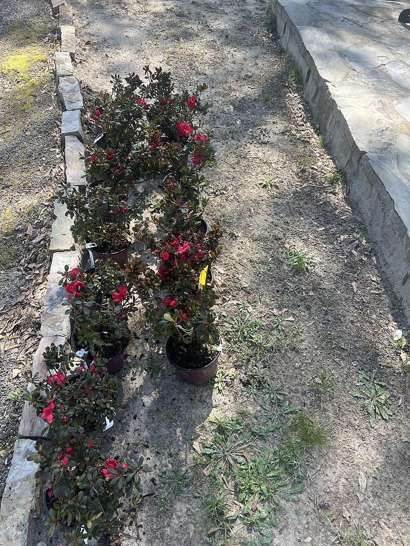 Received an order in a