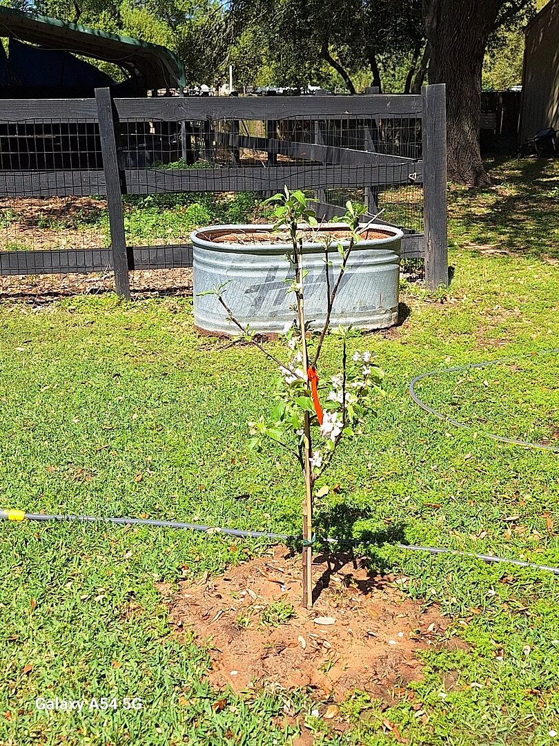 Looks good so far beautiful