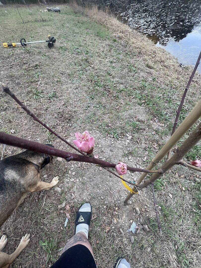 So far so good, little