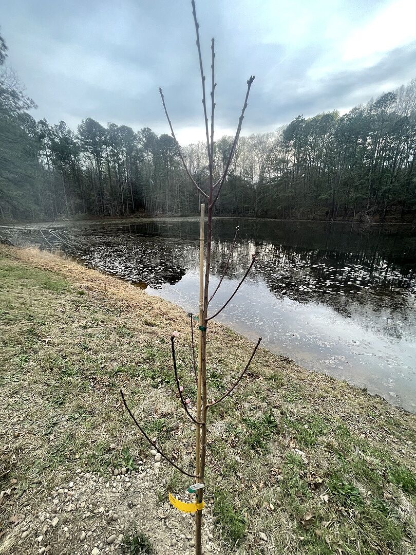 Media from review #2