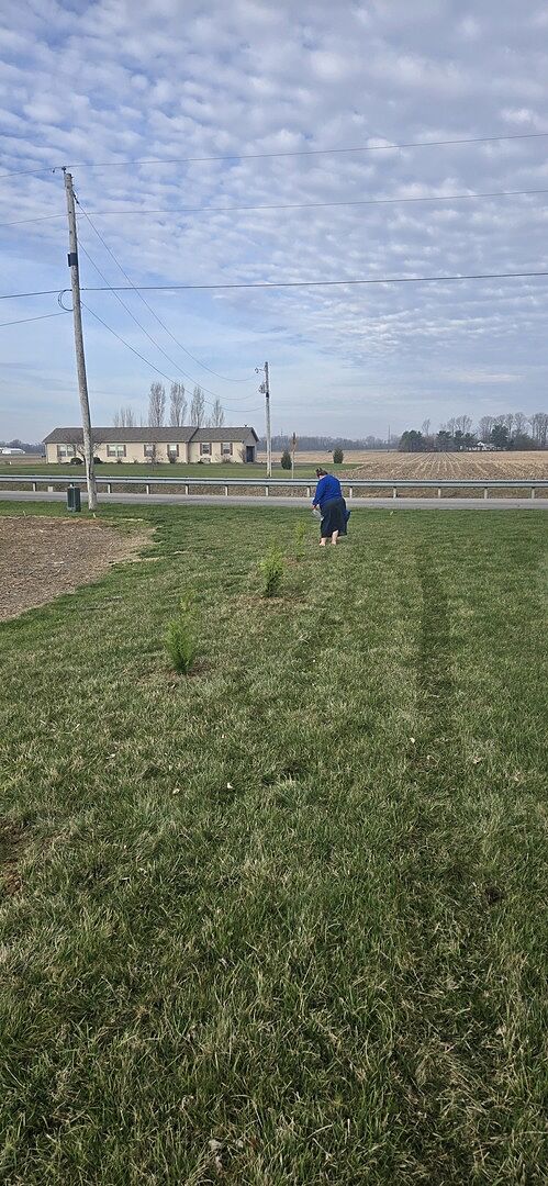 Media from review #2