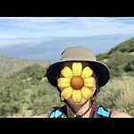 Image of Review by IslandMomma on 22 Mar 2026 number 1