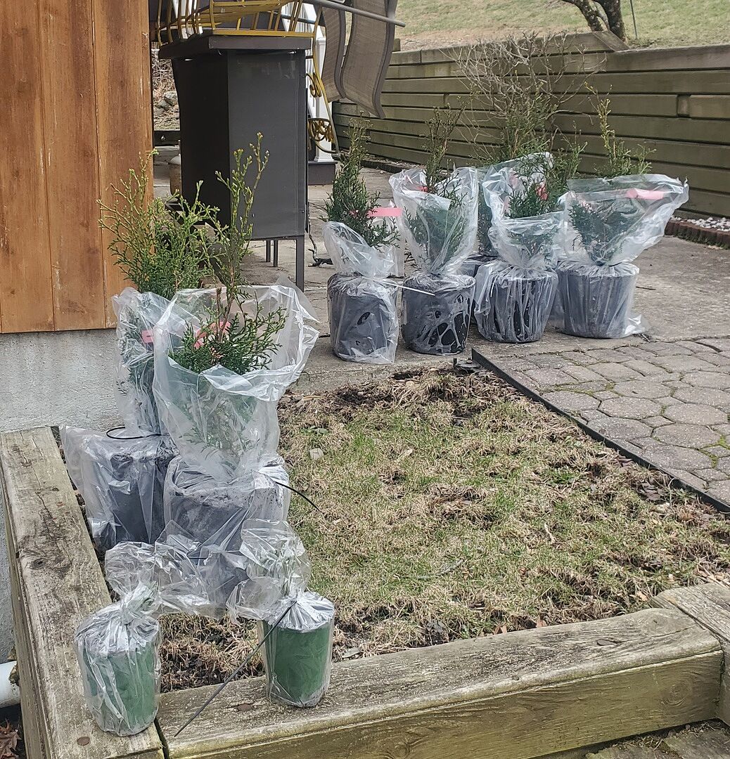 Media from review #2