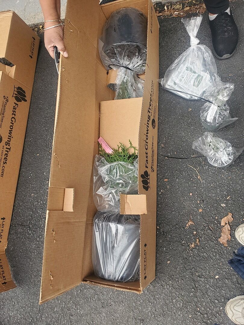 Media from review #4