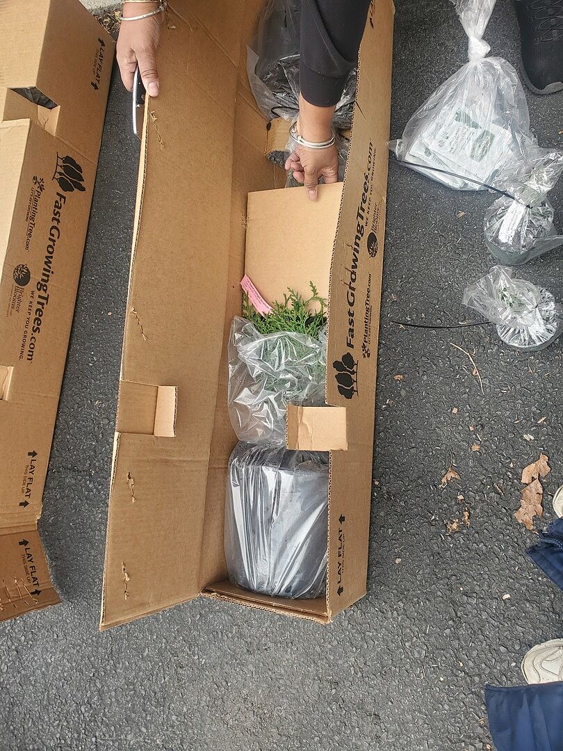 Media from review #3