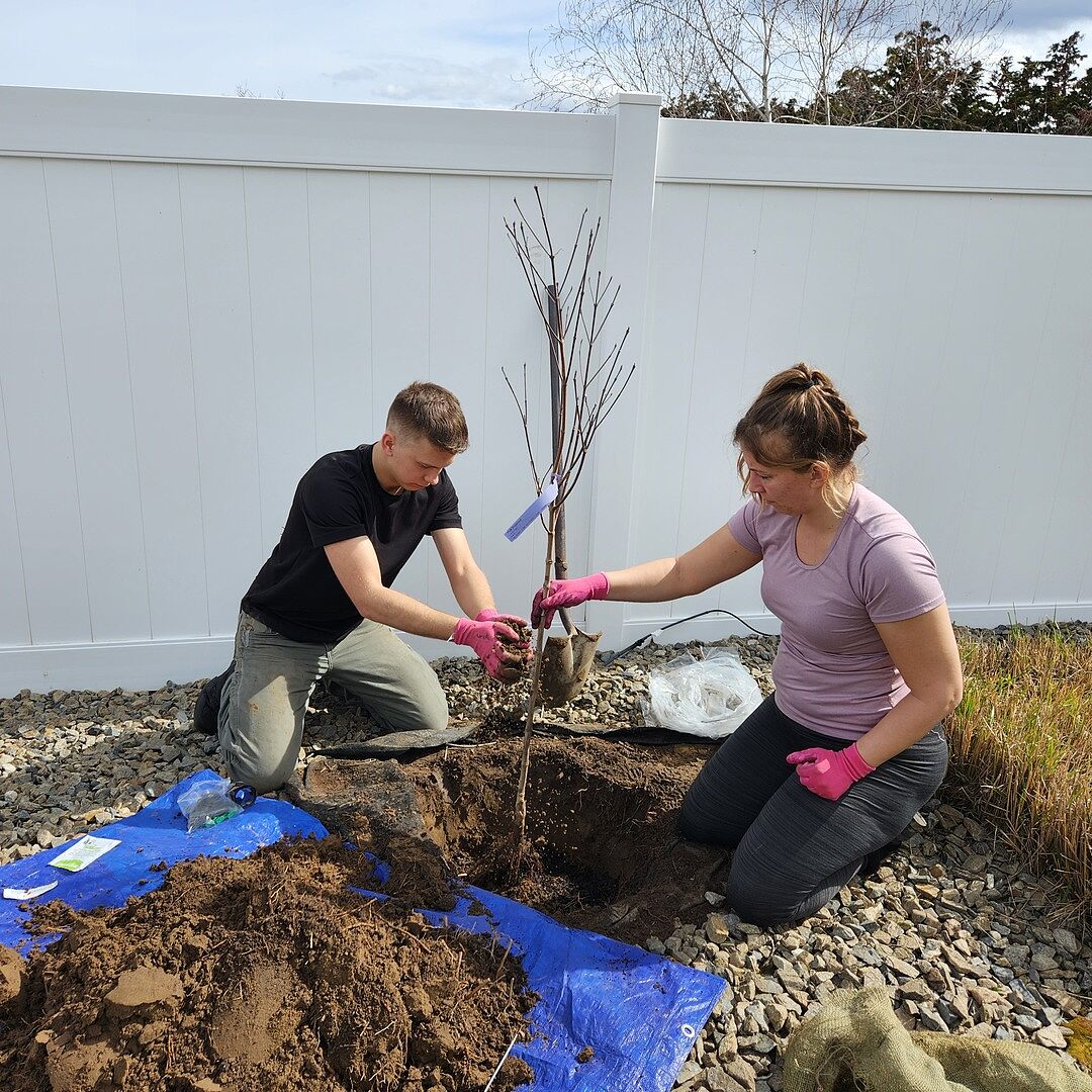 Media from review #3