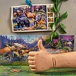 Customer Review Image