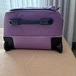 Image of Review by Roberta on 27 Mar 2026 number 2