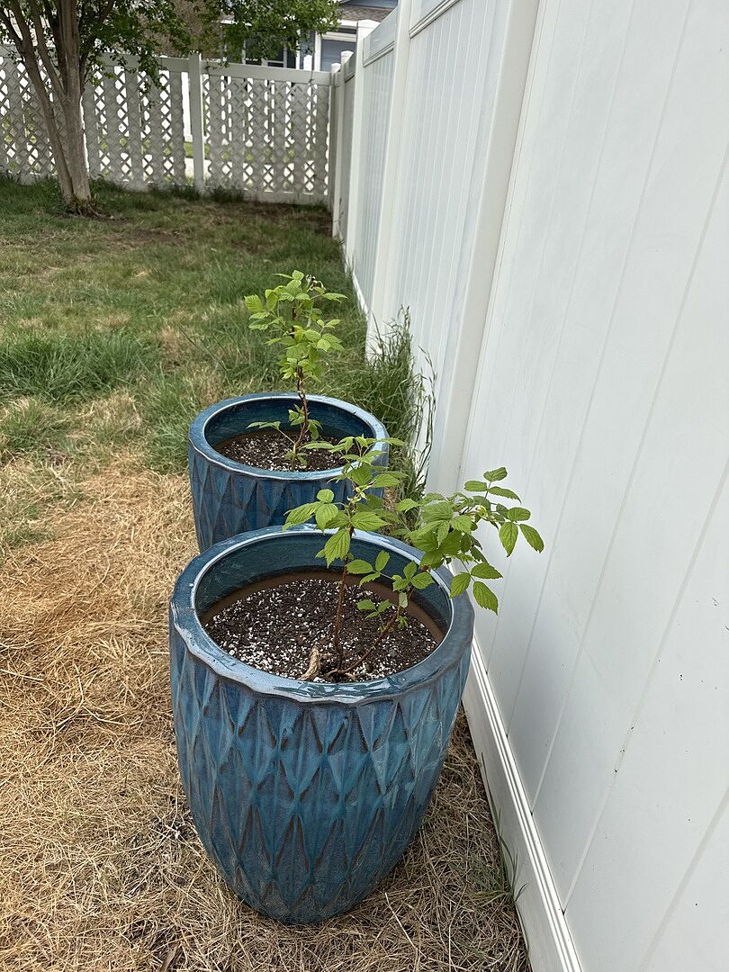 Arrive fast and healthy