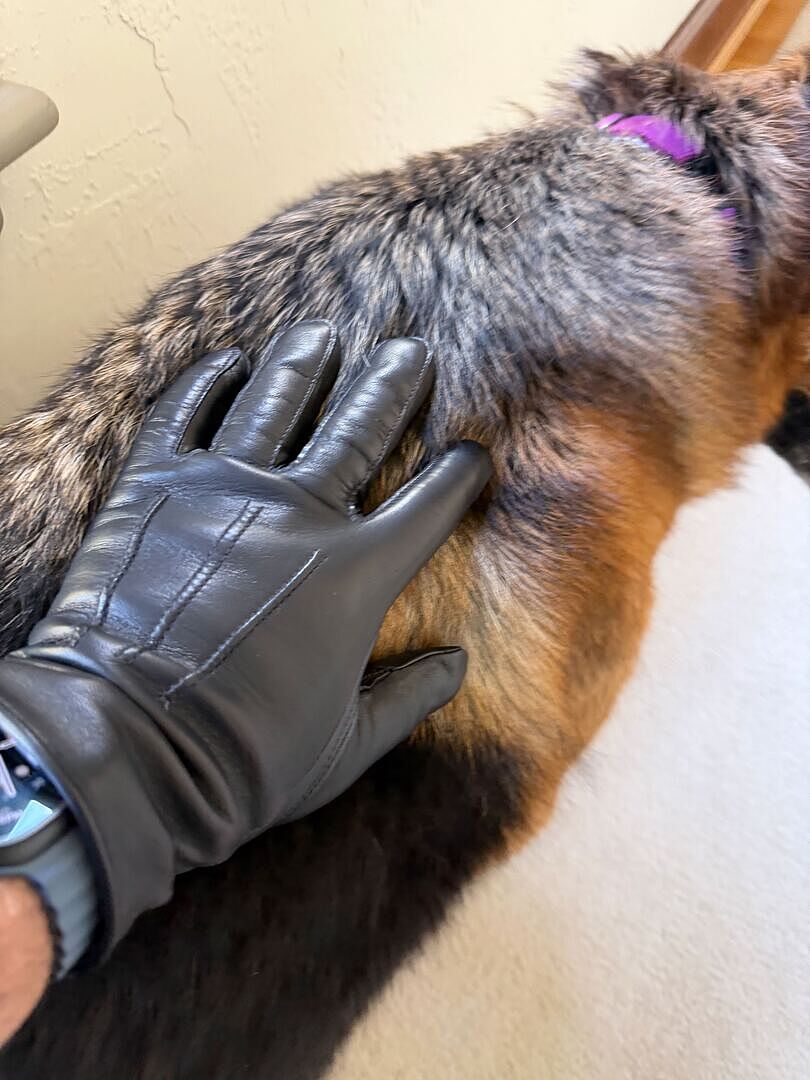 Customer wearing black Giovanni gloves