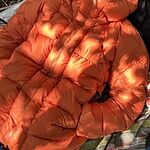 Image of Review by tomato on 29 Mar 2026 number 1