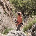 Image of Review by Robin on 30 Mar 2026 number 1