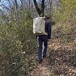 Image of Review by nasu on 30 Mar 2026 number 3