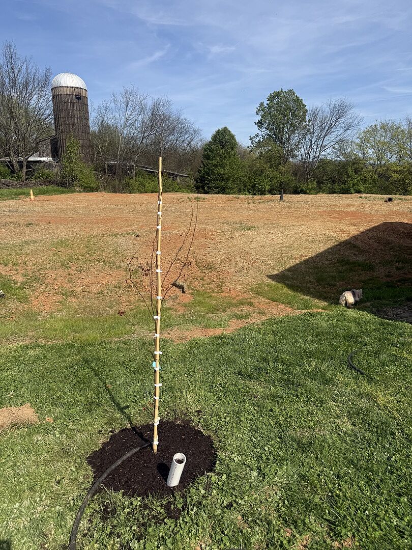 Amazing Customer Service!