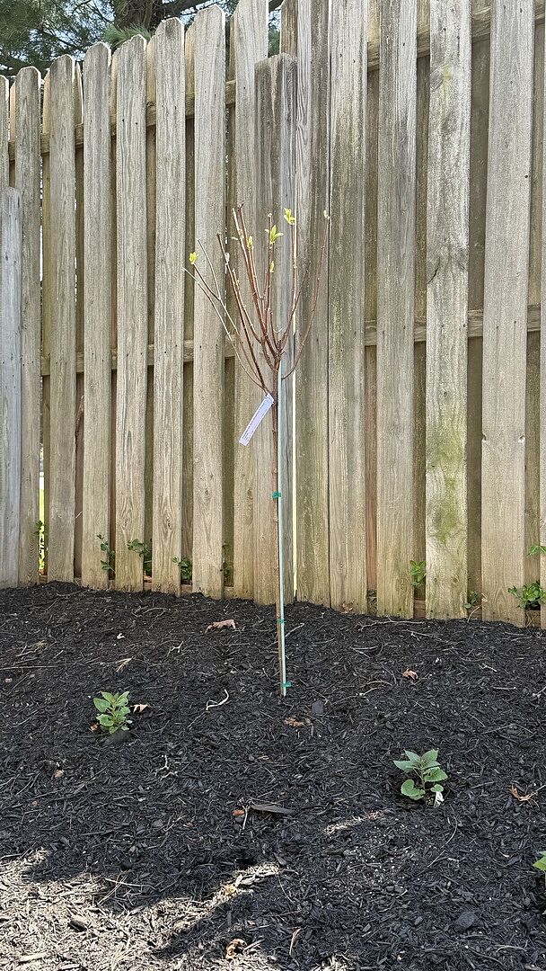 Media from review #2