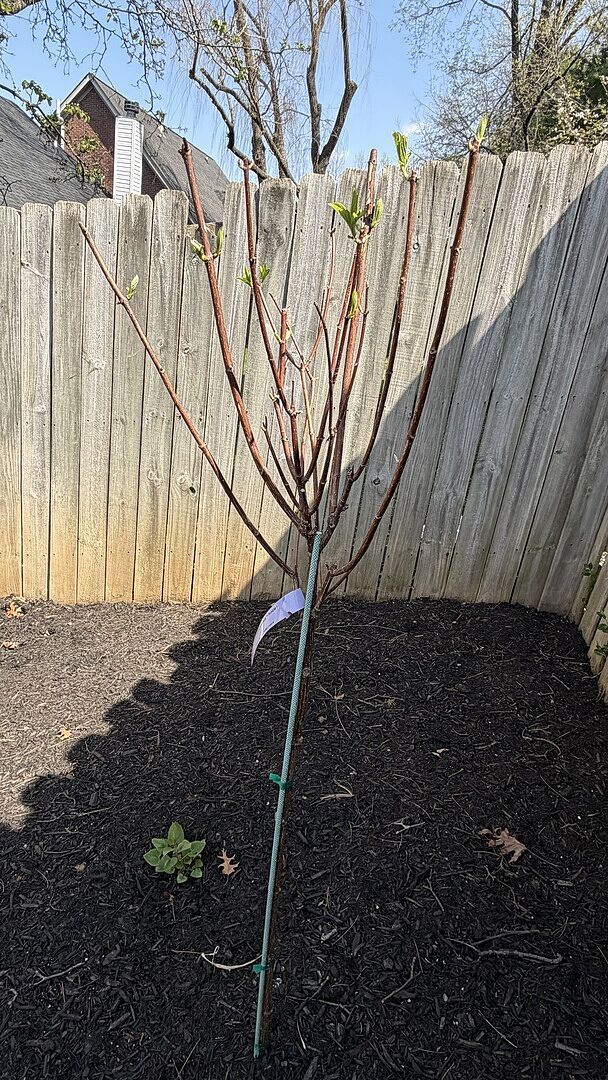 Media from review #3