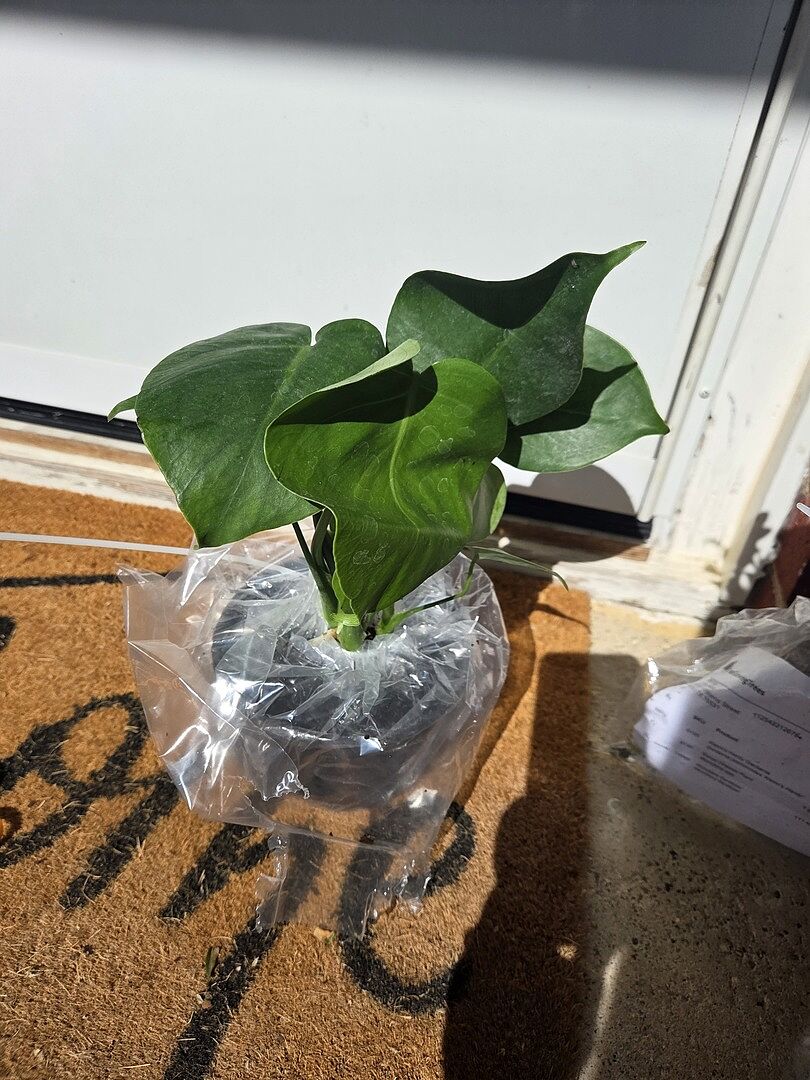 Smaller than expected