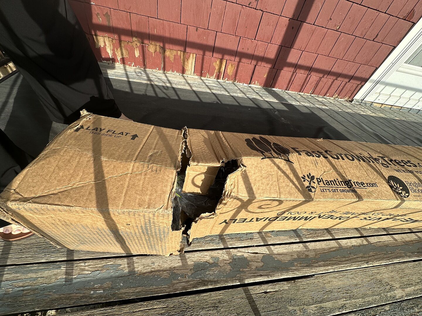 Great with the exception of product delivery condition