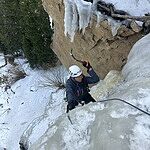 Image of Review by Carrie on 31 Mar 2026 number 1