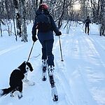 Image of Review by Carrie on 31 Mar 2026 number 2