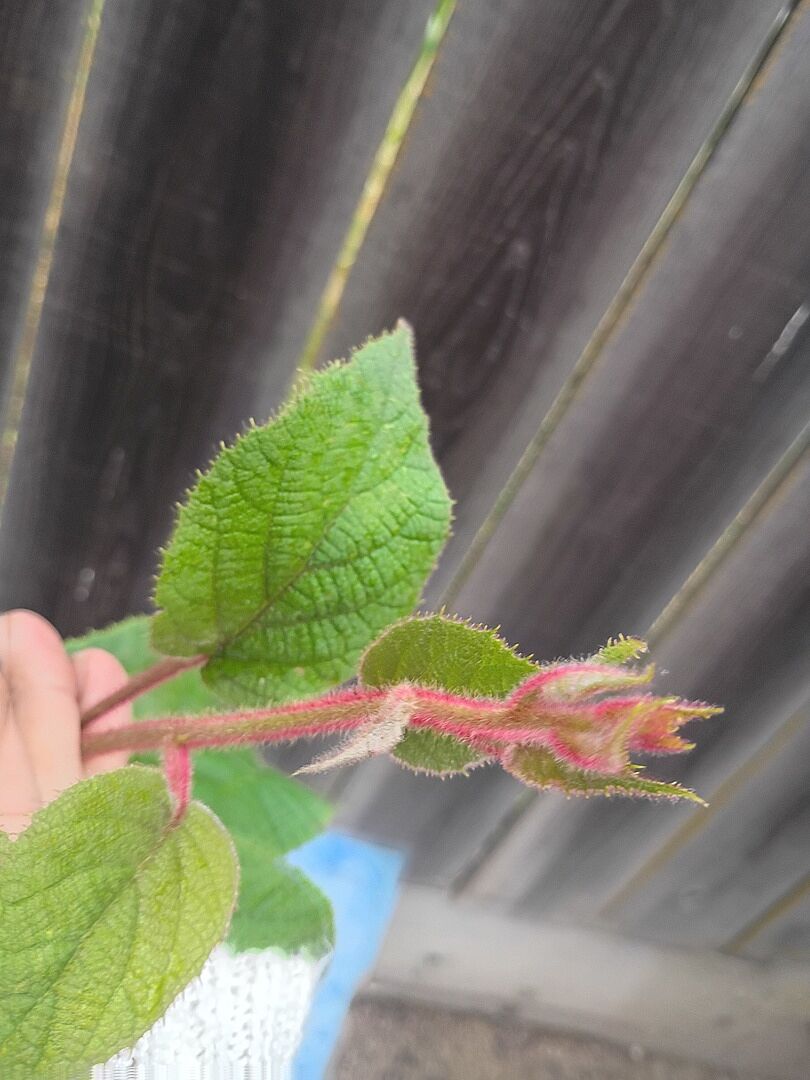 Beautiful and thriving