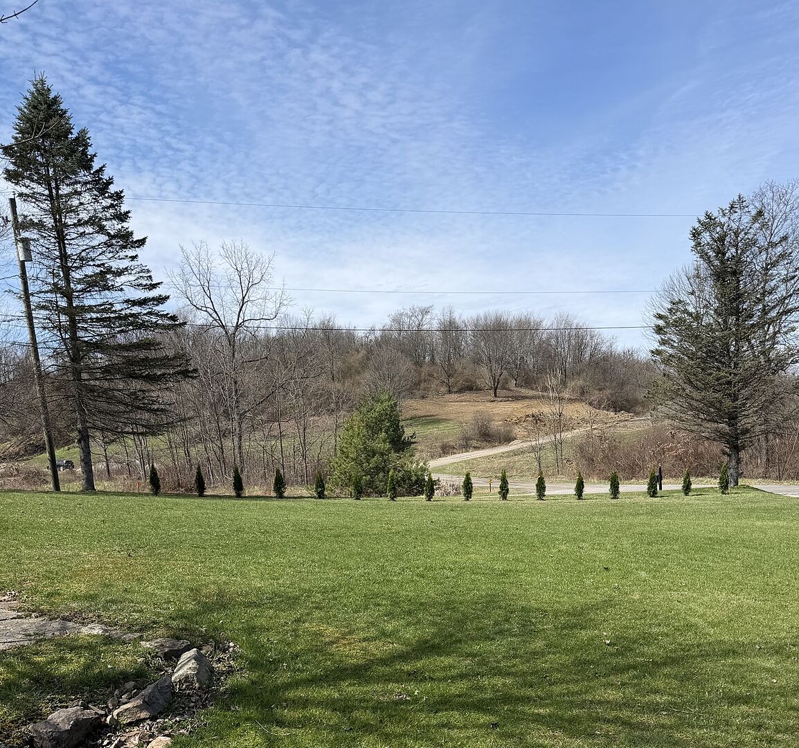 Received aborvitae trees