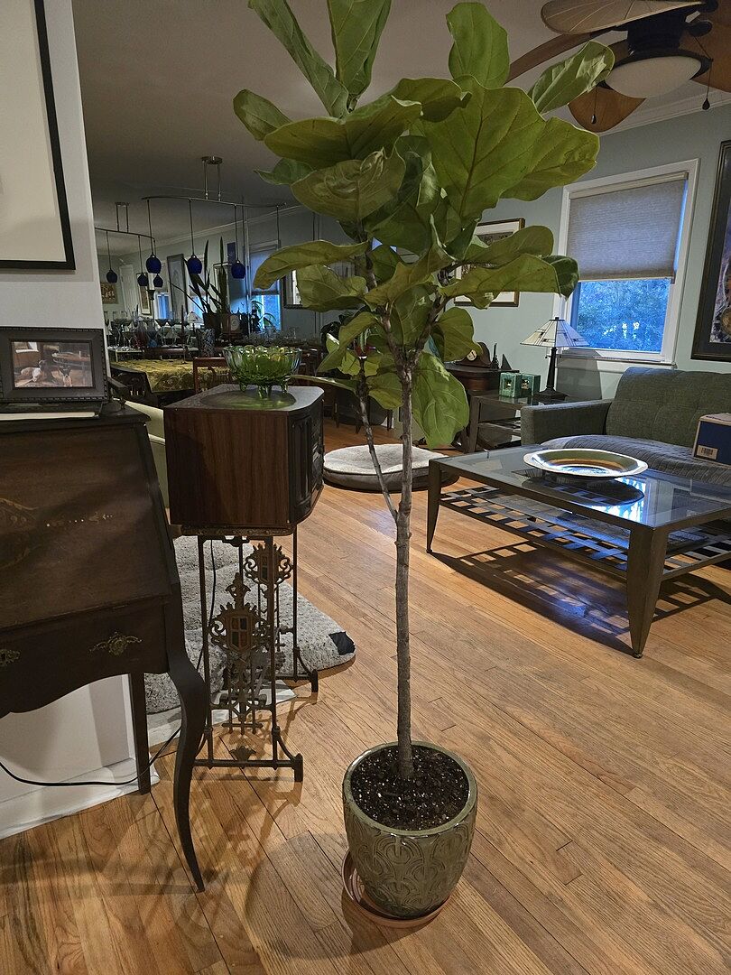 I am very satisfied with