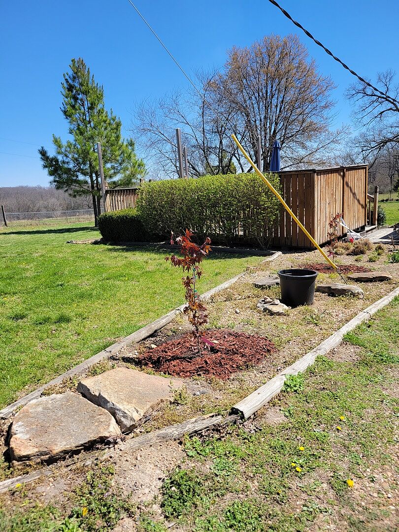 Bloodgood Japanese Maple Tree