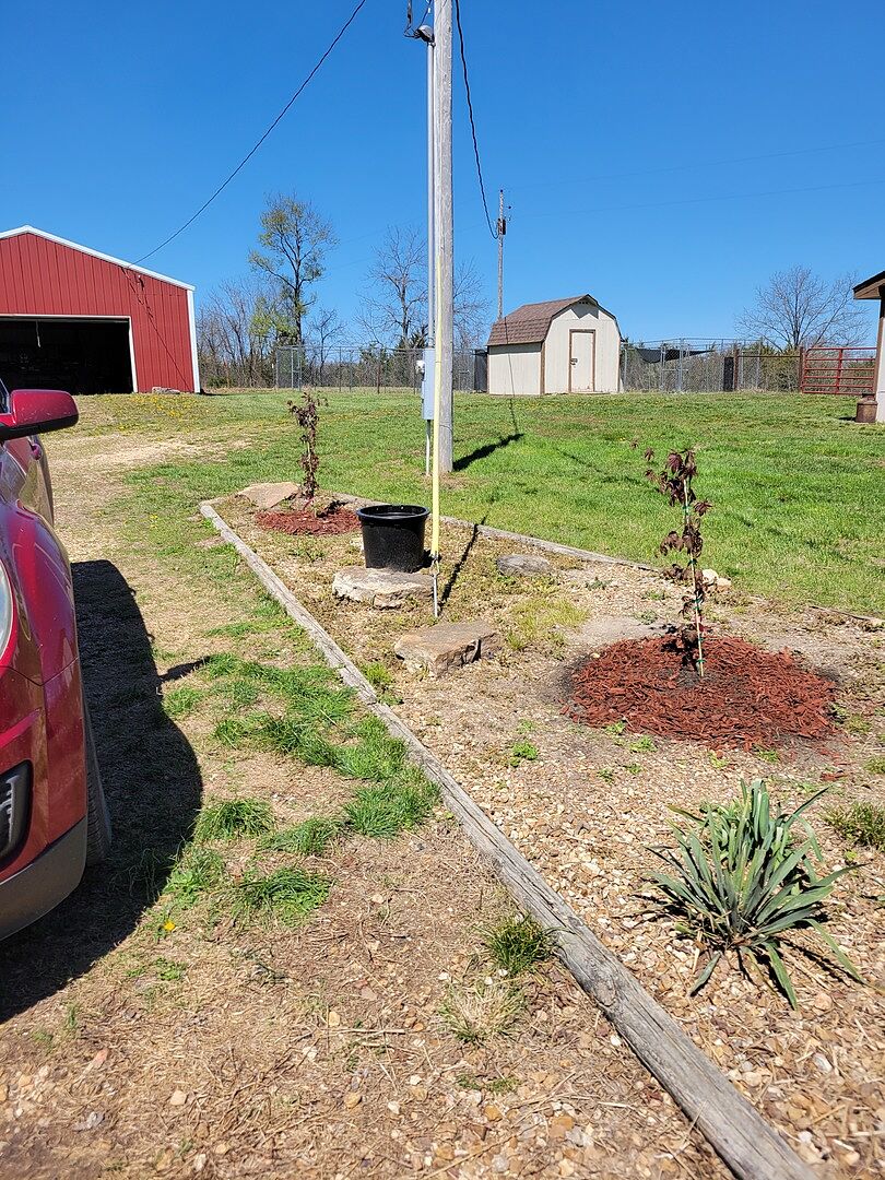 Media from review #2