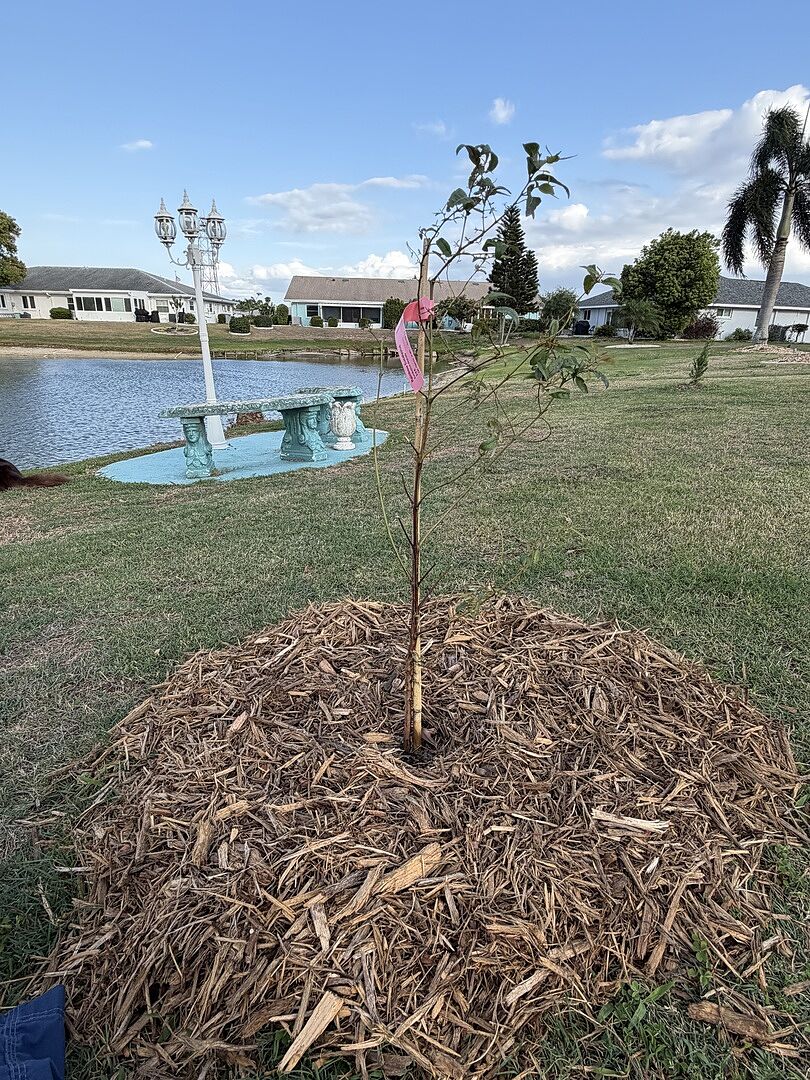 So far he’s doing well