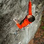 Image of Review by Y. K. on  4 Apr 2026 number 1