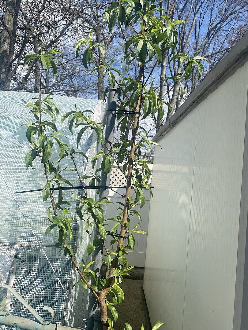 Media from review #1