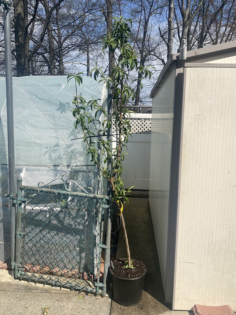 Media from review #3