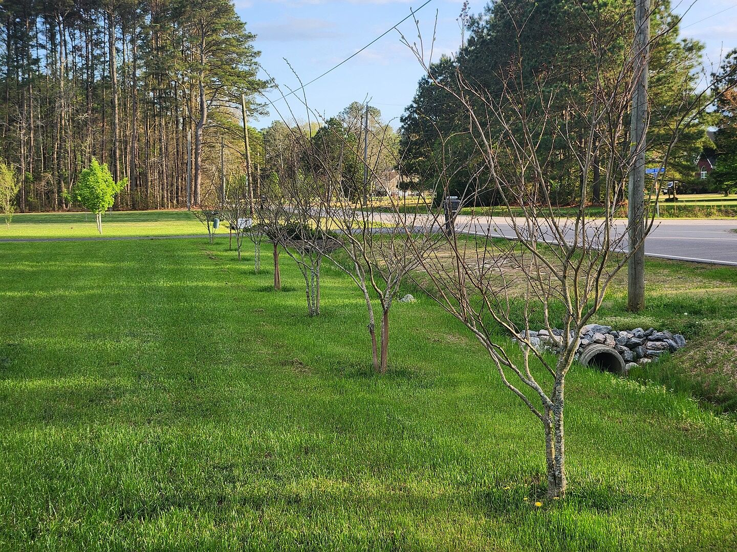 Media from review #2