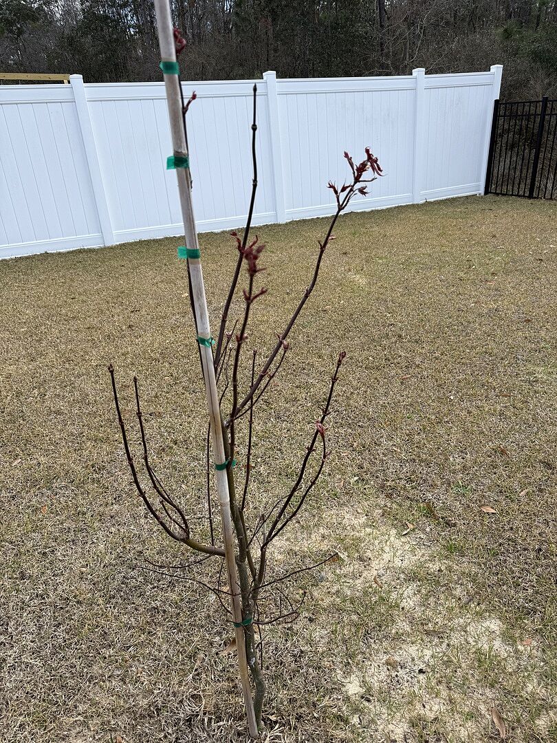 Media from review #2