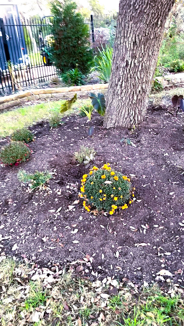 Media from review #1