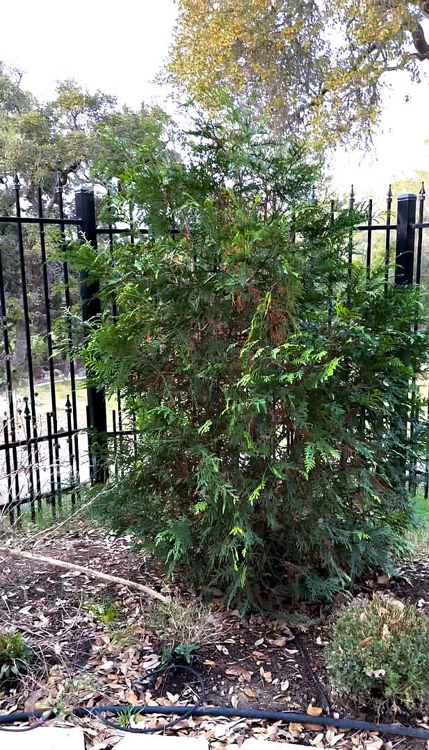 Media from review #5