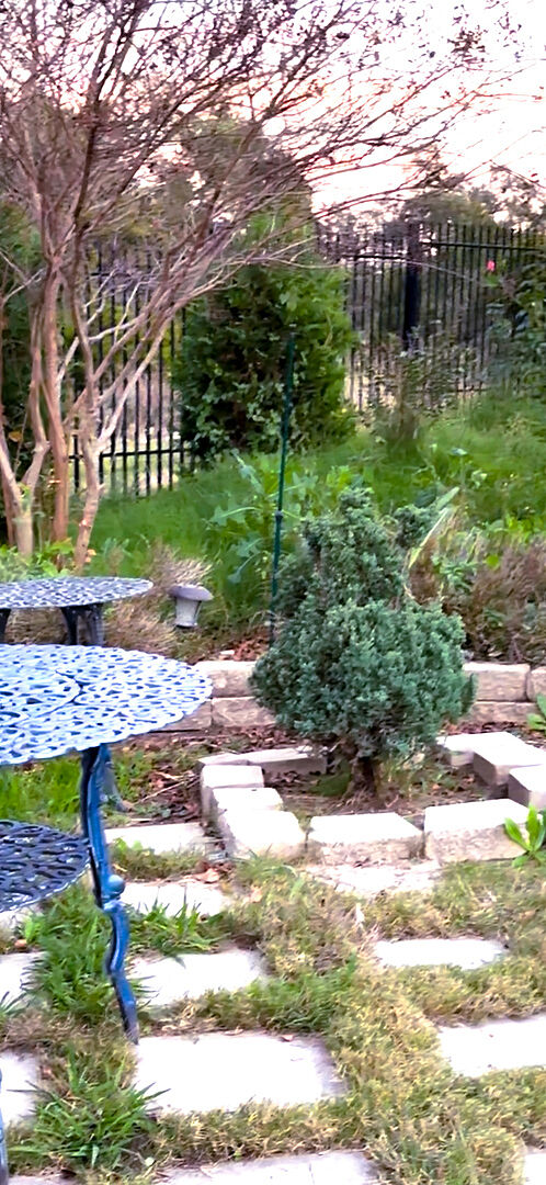 Media from review #4